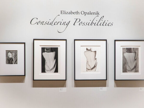 Cover image for Elizabeth Opalenik