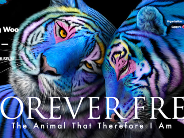Cover image for Koh Sang Woo: Forever Free - The Animal That Therefore I Am