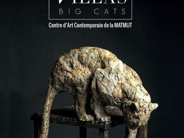 Cover image for PATRICK VILLAS - BIG CATS