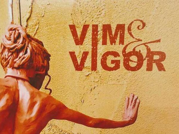 Cover image for Vim & Vigor by Laura Teste