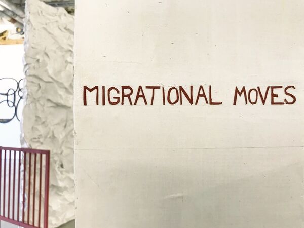 Cover image for Gerard Koek: Migrational Moves