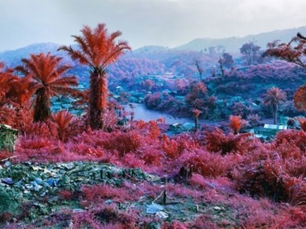 Cover image for Richard Mosse