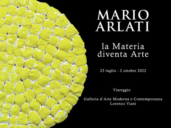 Cover image for Mario Arlati - La Materia diventa Arte