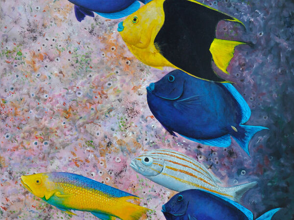 Cover image for Underwater - Aquarium