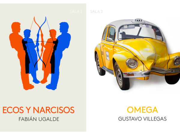 Cover image for ECOS Y NARCISOS / OMEGA