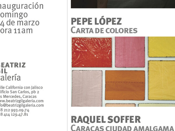 Cover image for Tres exposiciones individuales : Costanza De Rogatis, Pepe López y Raquel Soffer.
