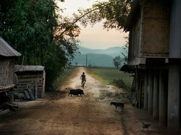 Cover image for Steve McCurry: Recent Acquisitions