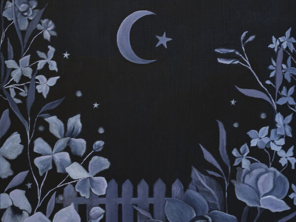 Cover image for Midnight Garden