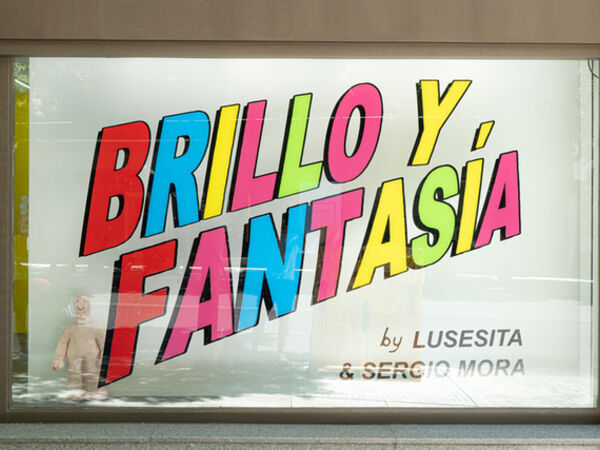 Cover image for Brillo y Fantasía