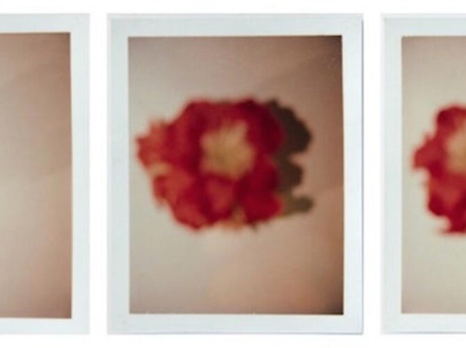 Polaroids by Andy Warhol