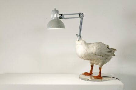 Sebastian Errazuriz, ‘Duck Lamp’, 2004