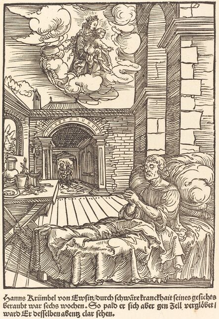 Master of the Miracles of Mariazell, ‘Hanns Krumbel von Ewsitz ...                                                         d'organdie)’, ca. 1503