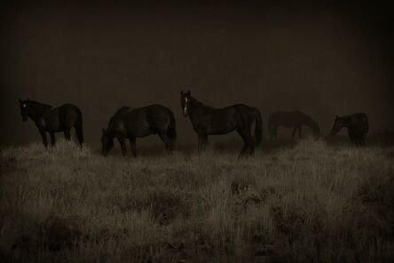 Jack Spencer, ‘Wild Horses Wyoming 1/10’