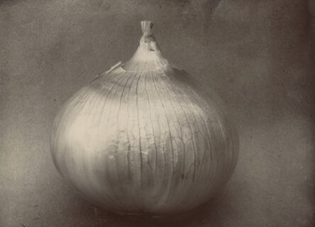 Charles Jones (1866-1959), ‘Onion Ailsa Craig, c.1900’, c.1900