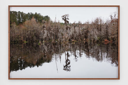 Catherine Opie, ‘Untitled #7 (Swamps)’, 2019