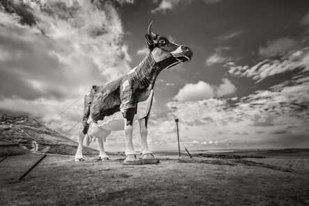 John Custodio, ‘World’s Largest Holstein Cow, New Salem, North Dakota’