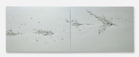 Saad Qureshi, ‘Surfaces’, 2013