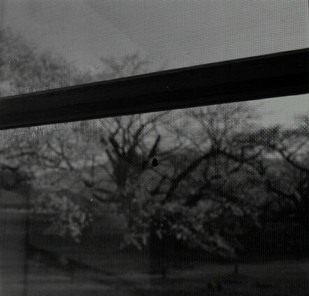 Toshio Enomoto, ‘034 - La Ruche at Musée Kiyoharu Shirakaba. A window and a ladybug’, 2007
