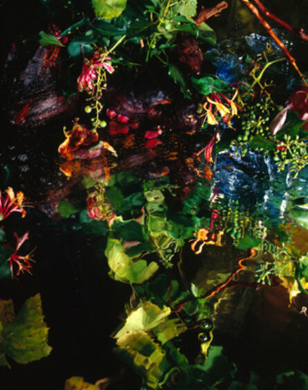 Margriet Smulders, ‘Bacchus Tree’, 2007