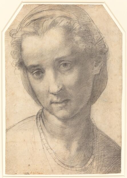Andrea del Sarto, ‘Head of a Woman’, ca. 1515