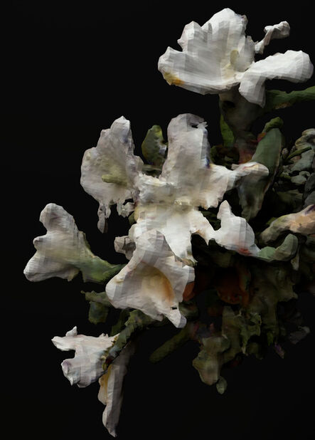 Rhonda Holberton, ‘Lilium Candidum, Rosa ‘Madame A. Meilland’, Alstroemeria (Night II)’, 2018