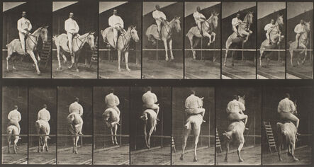 Eadweard Muybridge, ‘Horses Galloping and Jumping (from Animal Locomotion, Plate 645),’, 1887