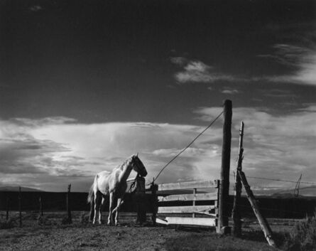 Paul Strand, ‘White Horse, Rancho de Taos, New Mexico’, 1932-printed circa 1971 by Richard Benson under the photographer's supervision