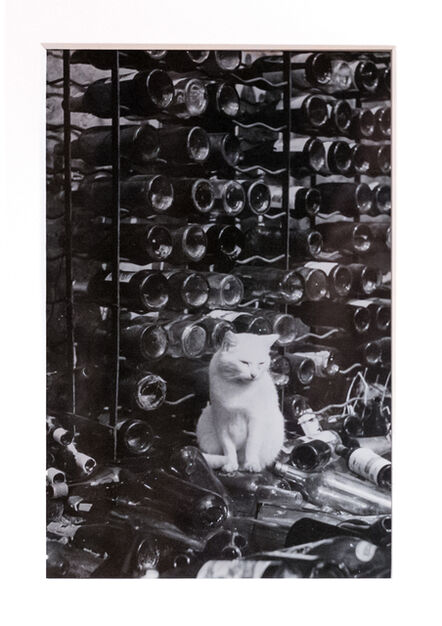 Brassaï, ‘Chat dans la cave’, ca. 1938