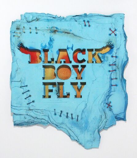 Robert Hodge, ‘Black Boy Fly’, 2016