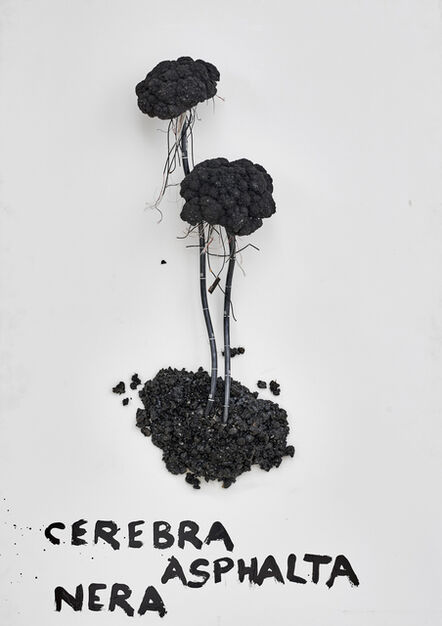 Kristof Kintera, ‘Cerebra Asphalta Nera’, 2018