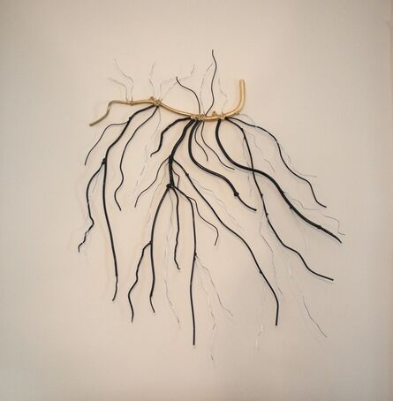 Dalya Luttwak, ‘Roots or Branches?’, 2015