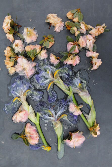 Mary Kocol, ‘Irises and Azaleas, Mom’s Garden’, 2015