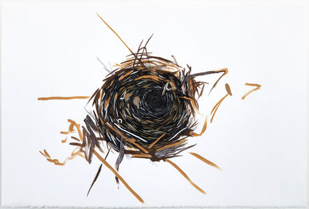 Andre Yi, ‘Nest Study’, 2019