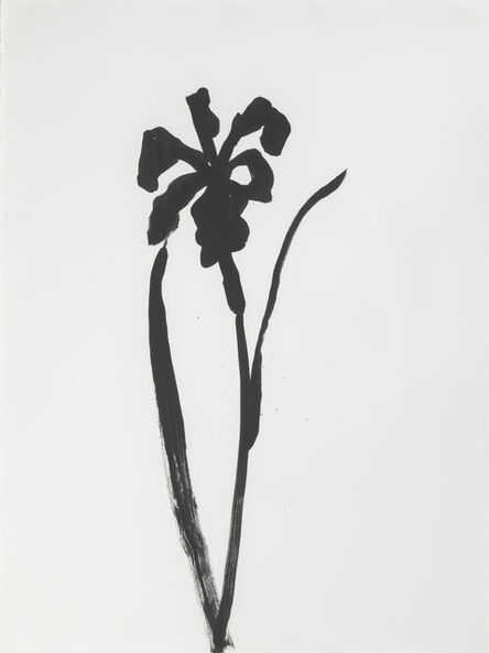 Ellsworth Kelly, ‘Siberian Iris’, 1989