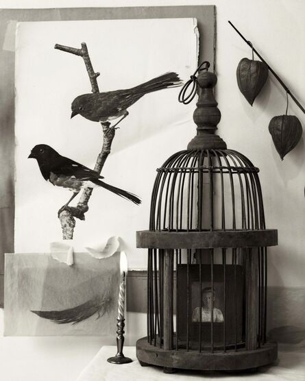 Zoë Zimmerman, ‘Two Birds and Cage’