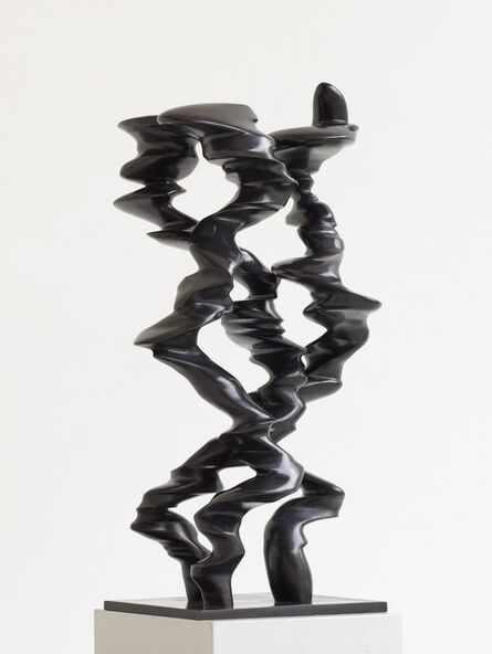 Tony Cragg, ‘Points of View’, 2019