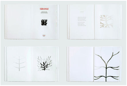 Christiane Löhr, ‘GRANAI, Eleven ink drawings by CHRISTIANE LÖHR, Ten unpublished poems by MARIA LUISA SPAZIANI’, 1999