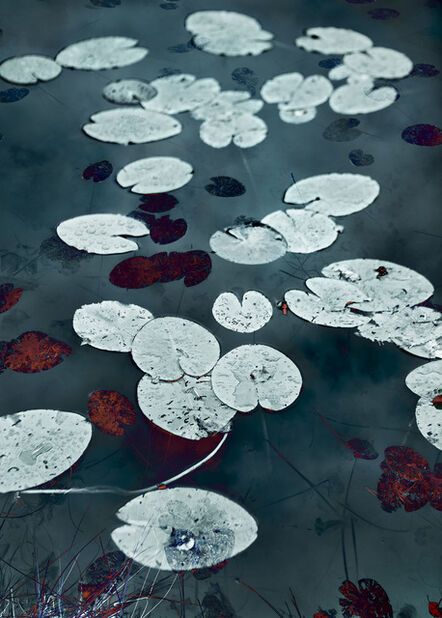 Santeri Tuori, ‘Water Lilies 17’, 2020