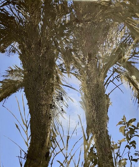 Nabil Nahas, ‘ Palm Trees from the Phoenix Dactylifera’, 2020