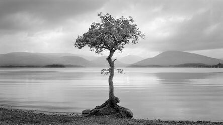 Brian Kosoff, ‘Loch and Tree’, 2012