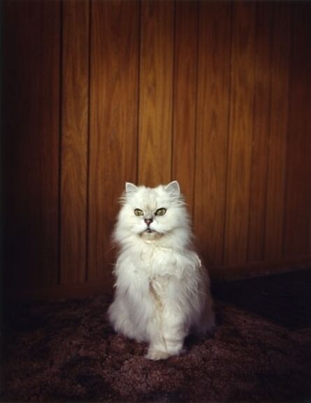 Todd Hido, ‘Untitled, #1843, From the series Excerpts From Silver Meadows’, 1996