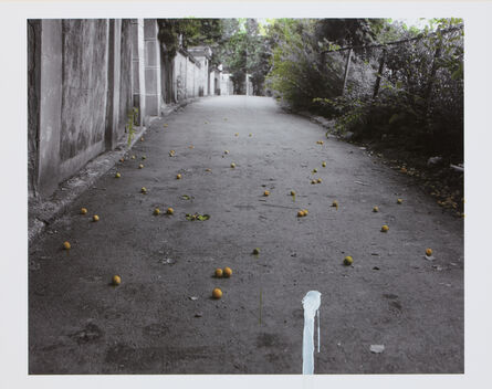 Honggoo Kang, ‘The House - Apricot’, 2010