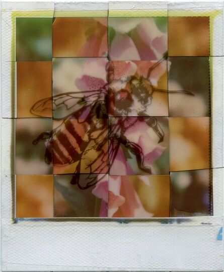 Julia Beyer, ‘Generation A - Contemporary, Polaroid, Photograph, Bees, Abstract, Color’, 2017