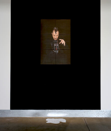 Lindsey White, ‘The Hypnotist (installation view)’, 2014