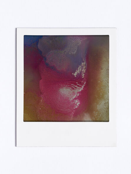 Johannes Wohnseifer, ‘Polaroid Painting (small)’, 2019