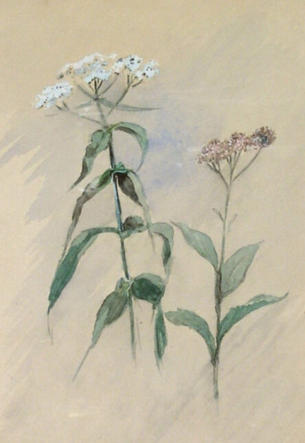 Ralph Albert Blakelock, ‘Wildflower Still Life’, Late 19th century