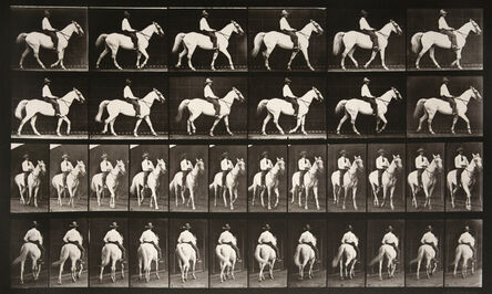 Eadweard Muybridge, ‘Animal Locomotion: Plate 579 (Man Riding Horse)’, 1887