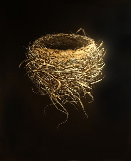 Mitchell Lonas, ‘Spring Robin Nest’, 2014