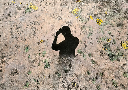 Brea Souders, ‘Untitled #27 (from Vistas)’, 2020