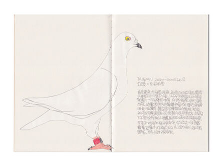 Lee Lichung, ‘Pigeon- TAIWAN 2020000566’, 2020